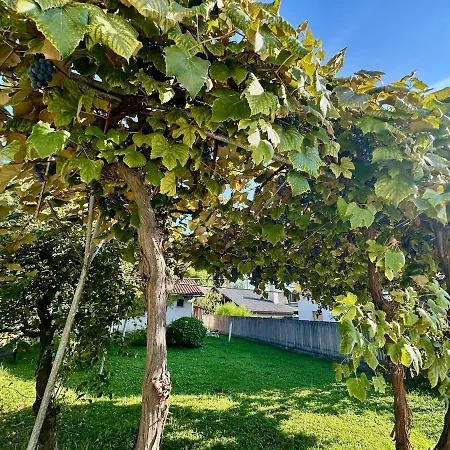 Apartament New Comfortable And Cute One-room Of 33 M2 Lublana