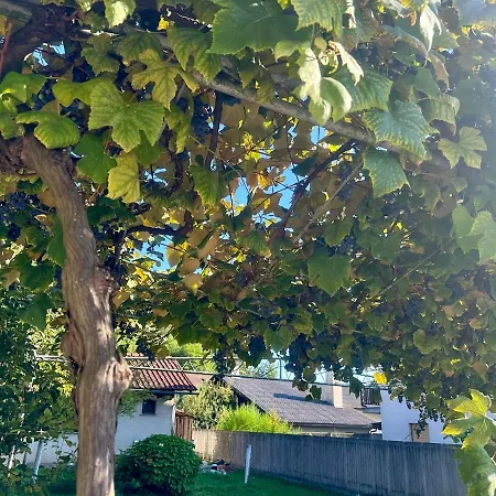 New Comfortable And Cute One-room Of 33 M2 Lublana