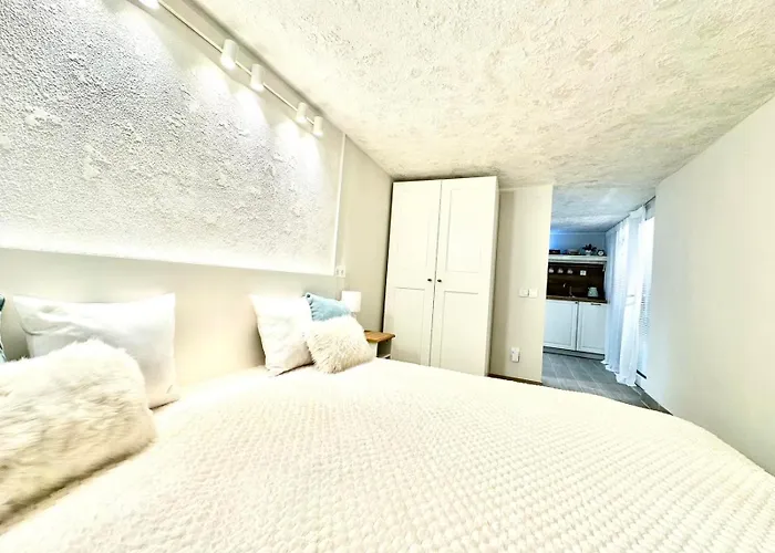 アパート New Comfortable And Cute One-room Of 33 M2 リュブリャナ